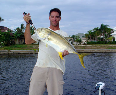 Crevalle Jacks are very aggressive, available year round, and usually found in schools ready to take live or artificial baits. 