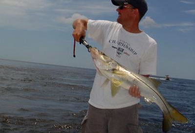 Jeremy with another nice snook caught on live pinfish
